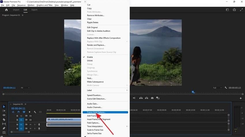 frame hold option in premiere