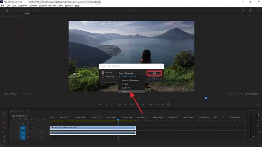 apply frame hold on playhead