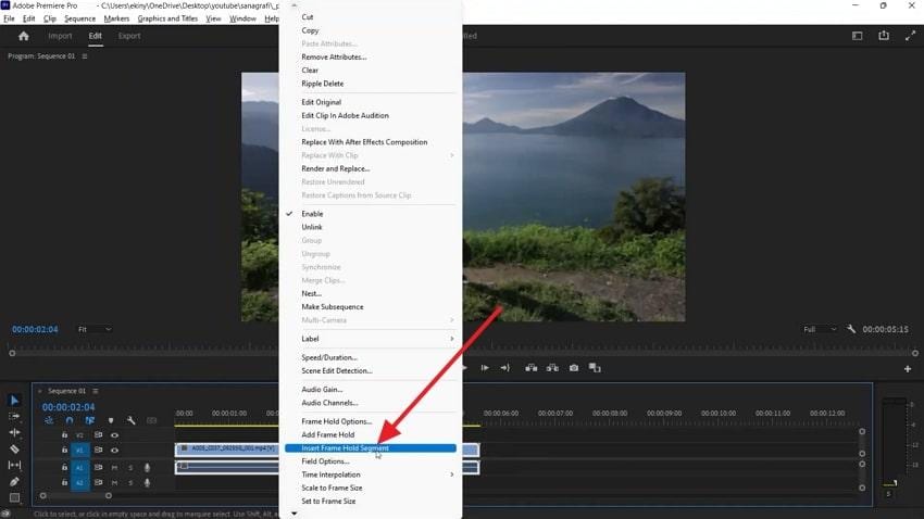 insert frame hold segment