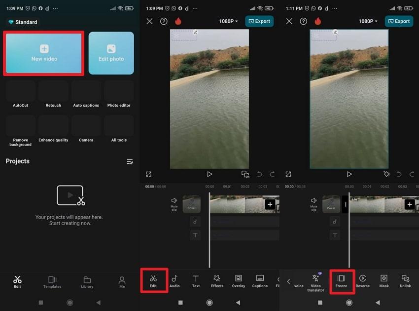 import video and select freeze frame
