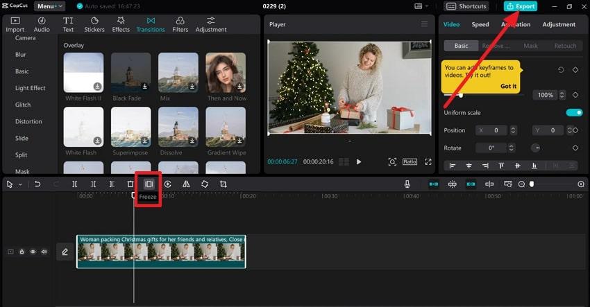 choose the freeze feature and export
