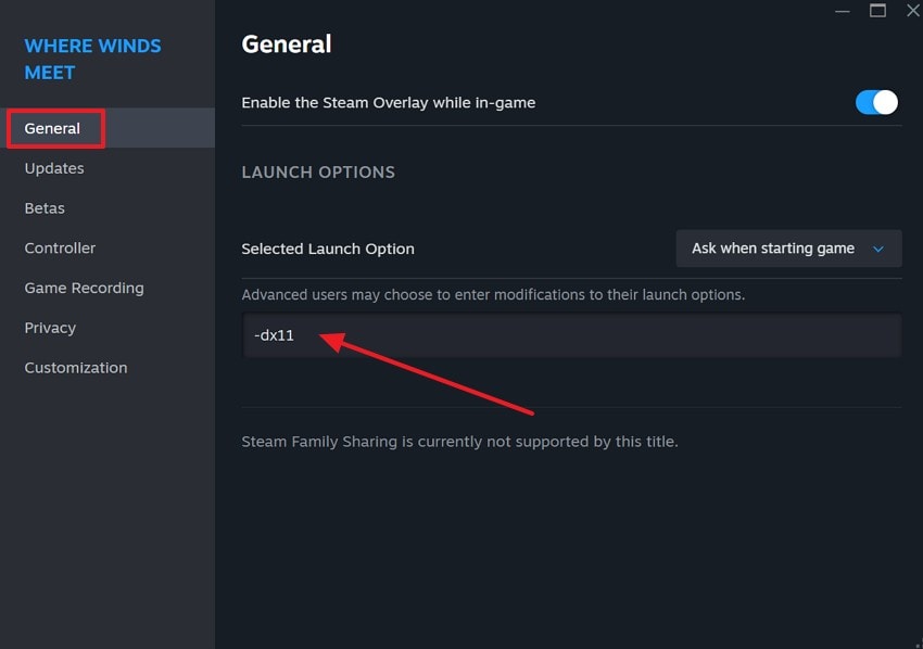 type the version in launch option