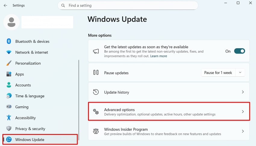 access advanced options windows update