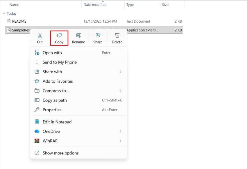 copy dll file windows
