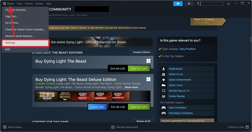 enter steam settings