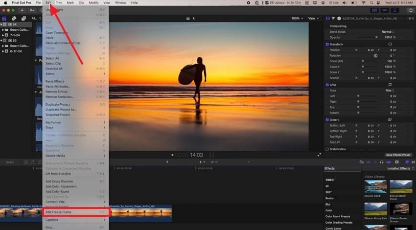 basic method to add freeze frame