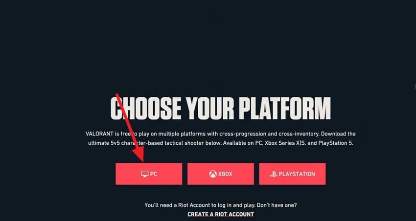 choose desired platform valorant install