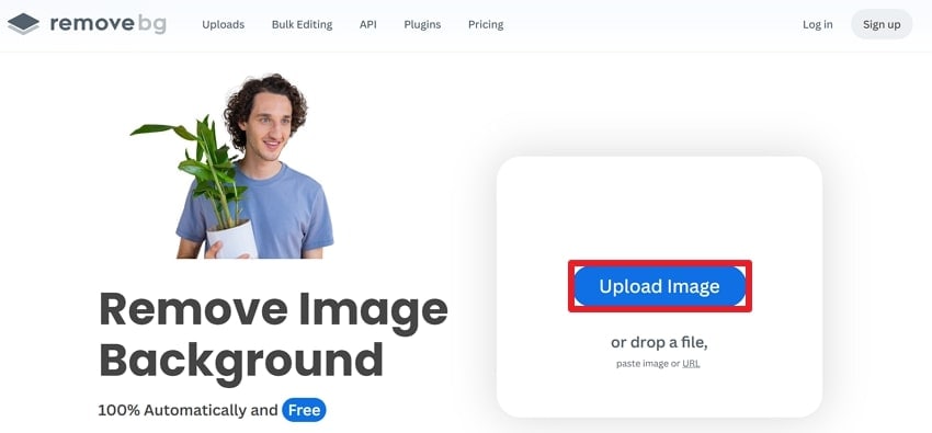 upload image to remove background