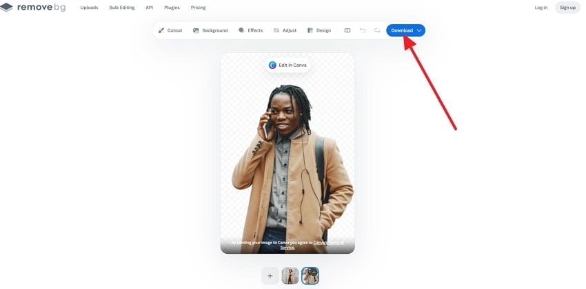 download image with removed backdrop