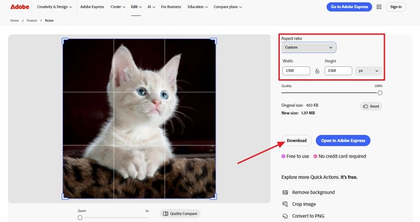 download resize adobe express image