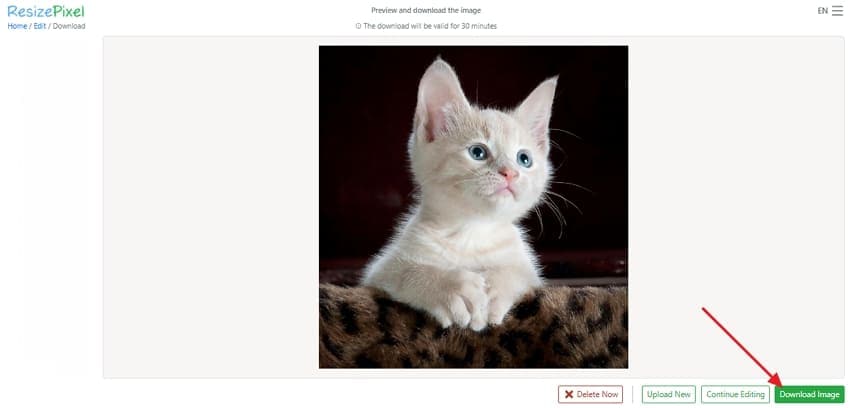 download resized image resizepixel