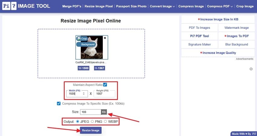 choose output format custom dimensions