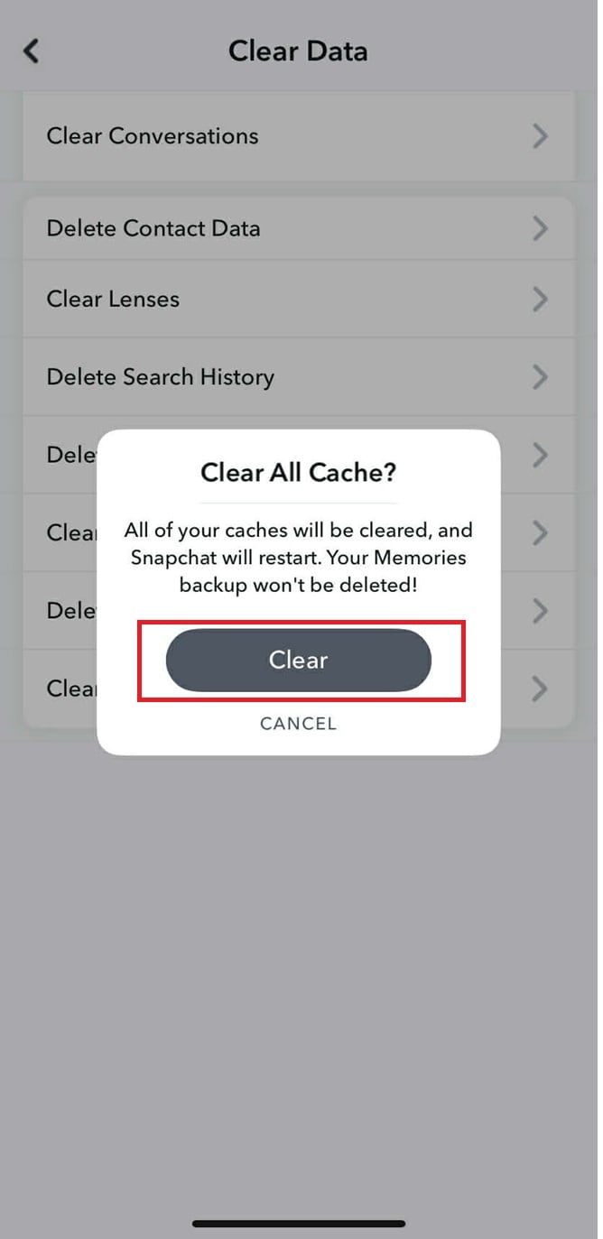 clear all cache