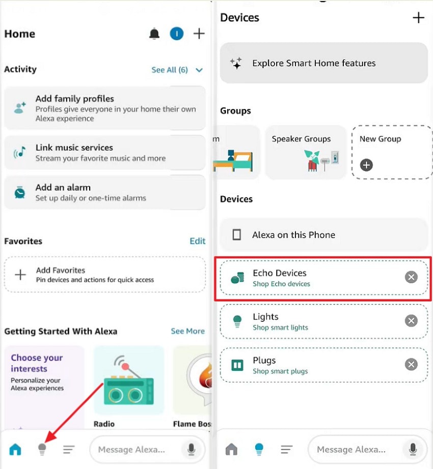 access echo device alexa app