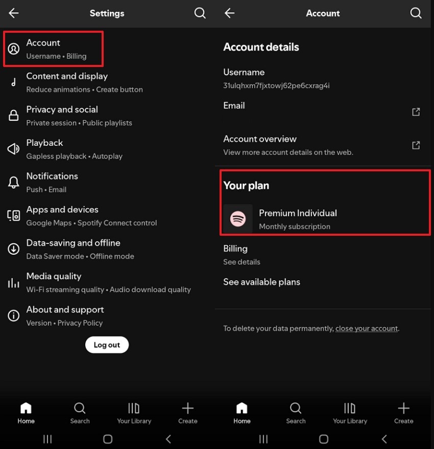 check premium subscription is active