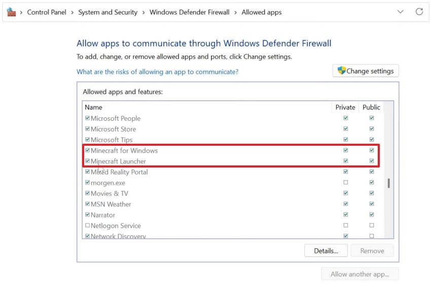 ensure minecraft options are enabled
