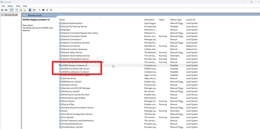 choose the nvidia display containers