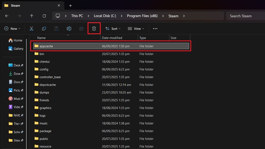 delete appcache folder