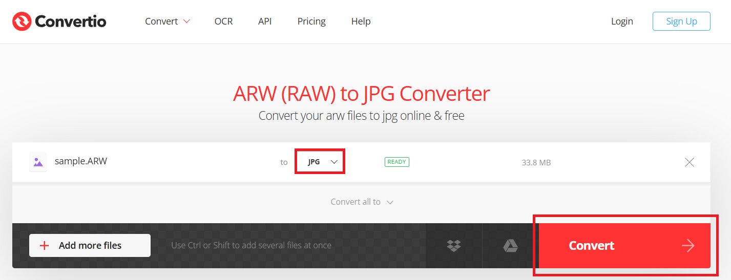 convert arw to jpg
