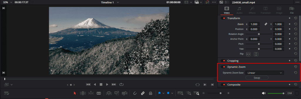 davinci resolve zoom