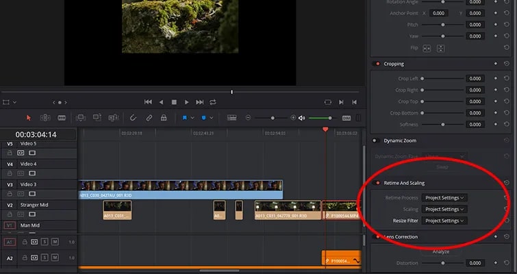 davinci resolve scale