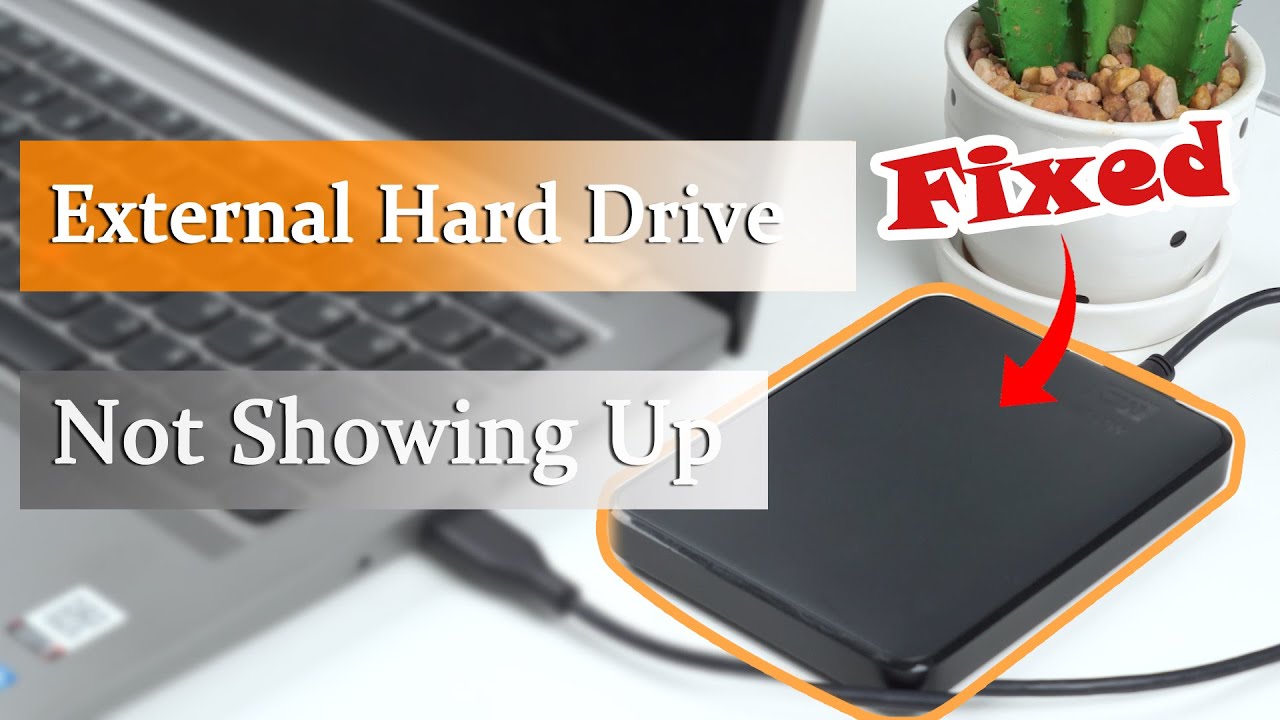How to Fix External or Internal Hard Drive Not Showing Up in Windows 11/10