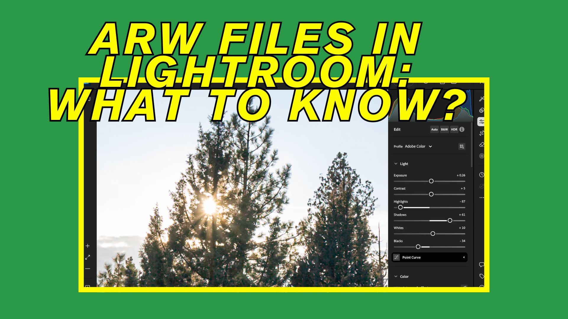 How to Use ARW in Lightroom: Compatibility, Editing, and Common Issues Explained