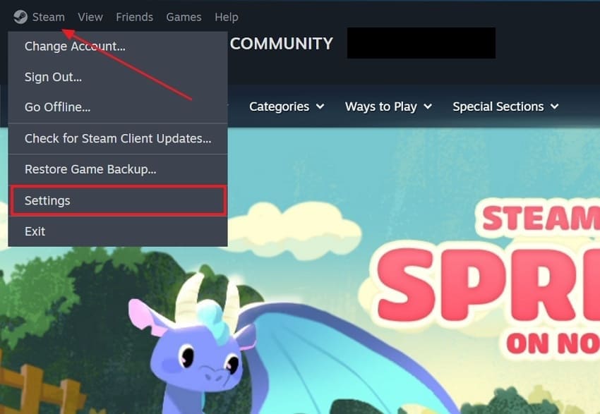 access steam settings