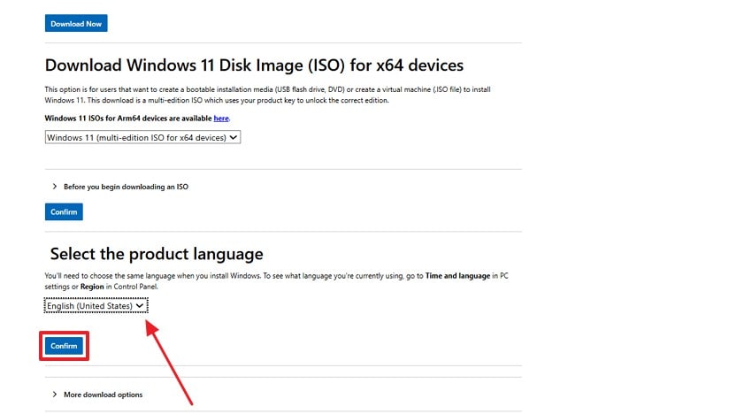 choose iso file language