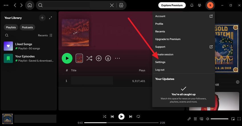access windows spotify settings