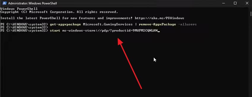 execute start ms-windows-store