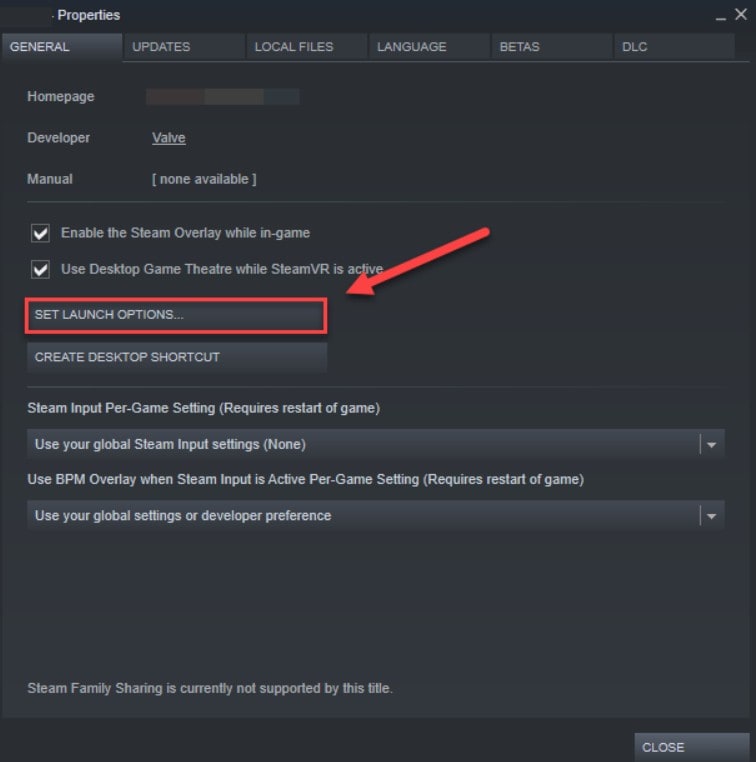 set launch options