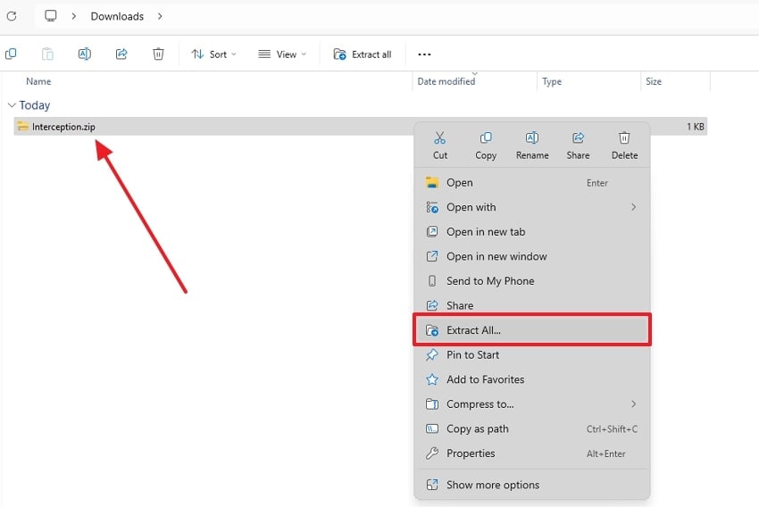 extract all zip file