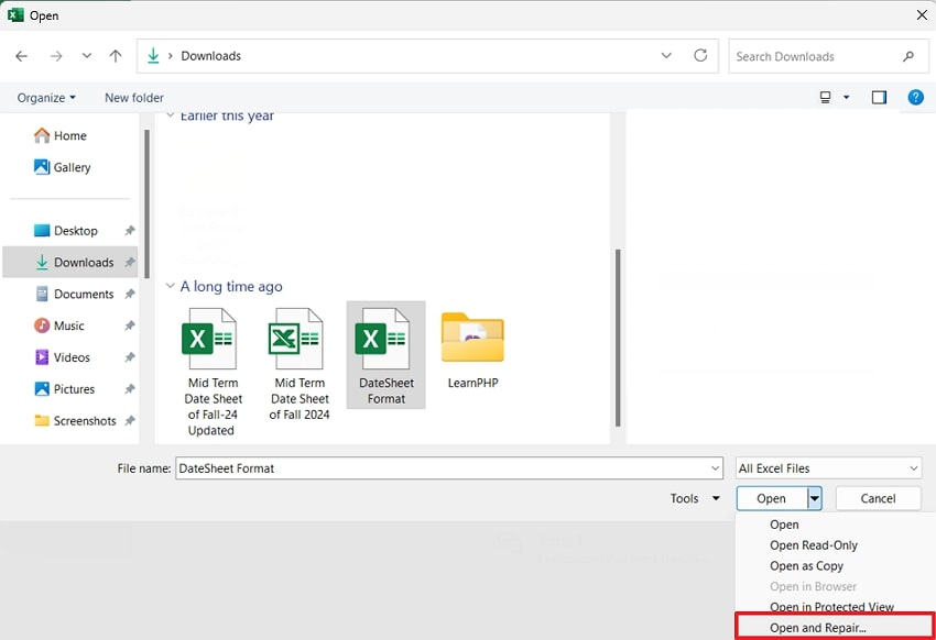 choose open and repair option