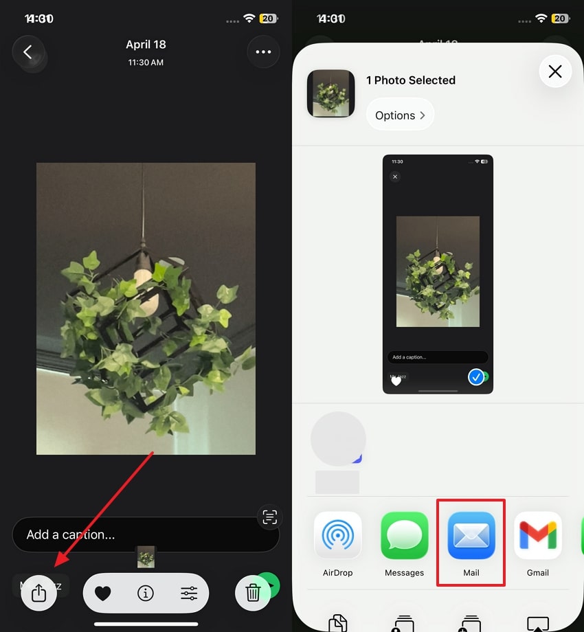 share images to mail app