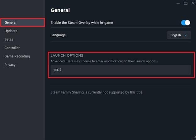 change launch options