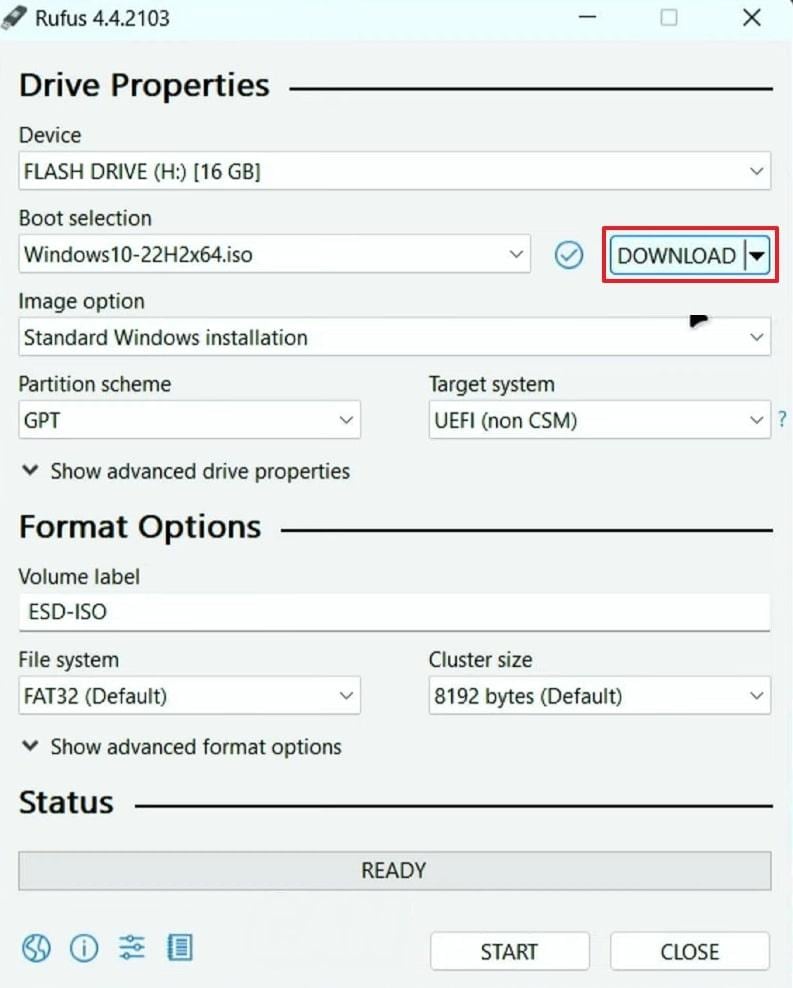 hit download button