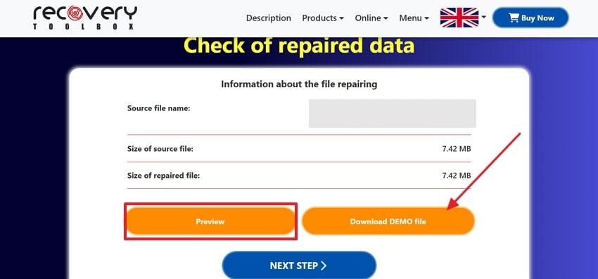 preview and download demo file