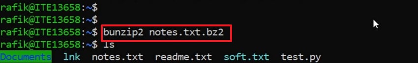 enter bunzip2 command linux