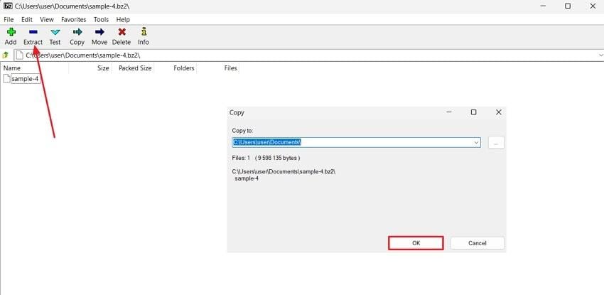 extract bzip in windows