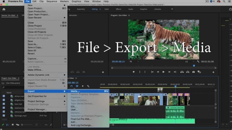 premiere pro export and media