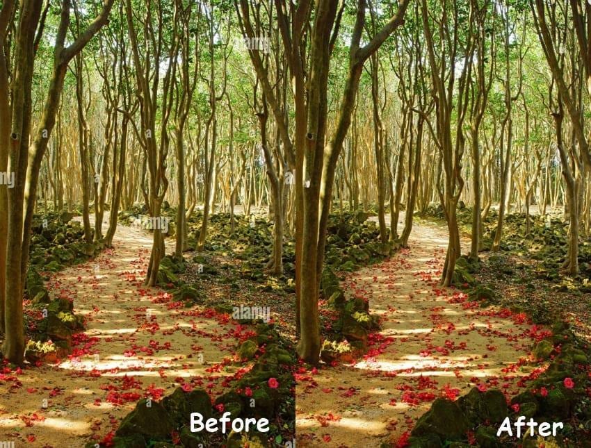 compare before and after results repairit