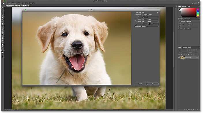 agrandir une photo dans photoshop en vue d'une impression