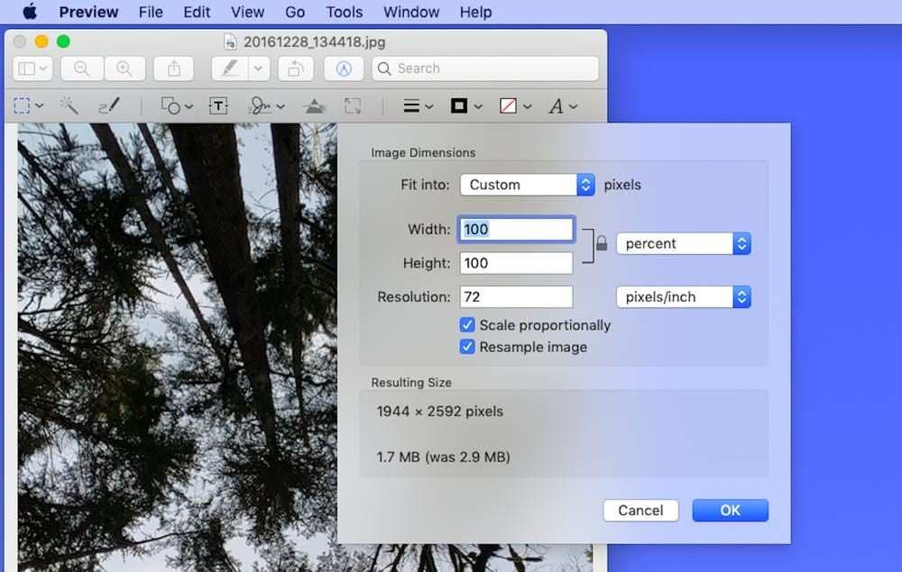 enlarging a picture for printing in preview