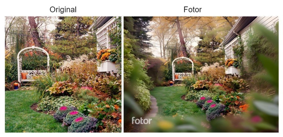 fotor before and after