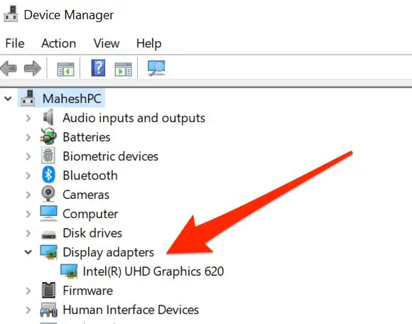 display adapters option