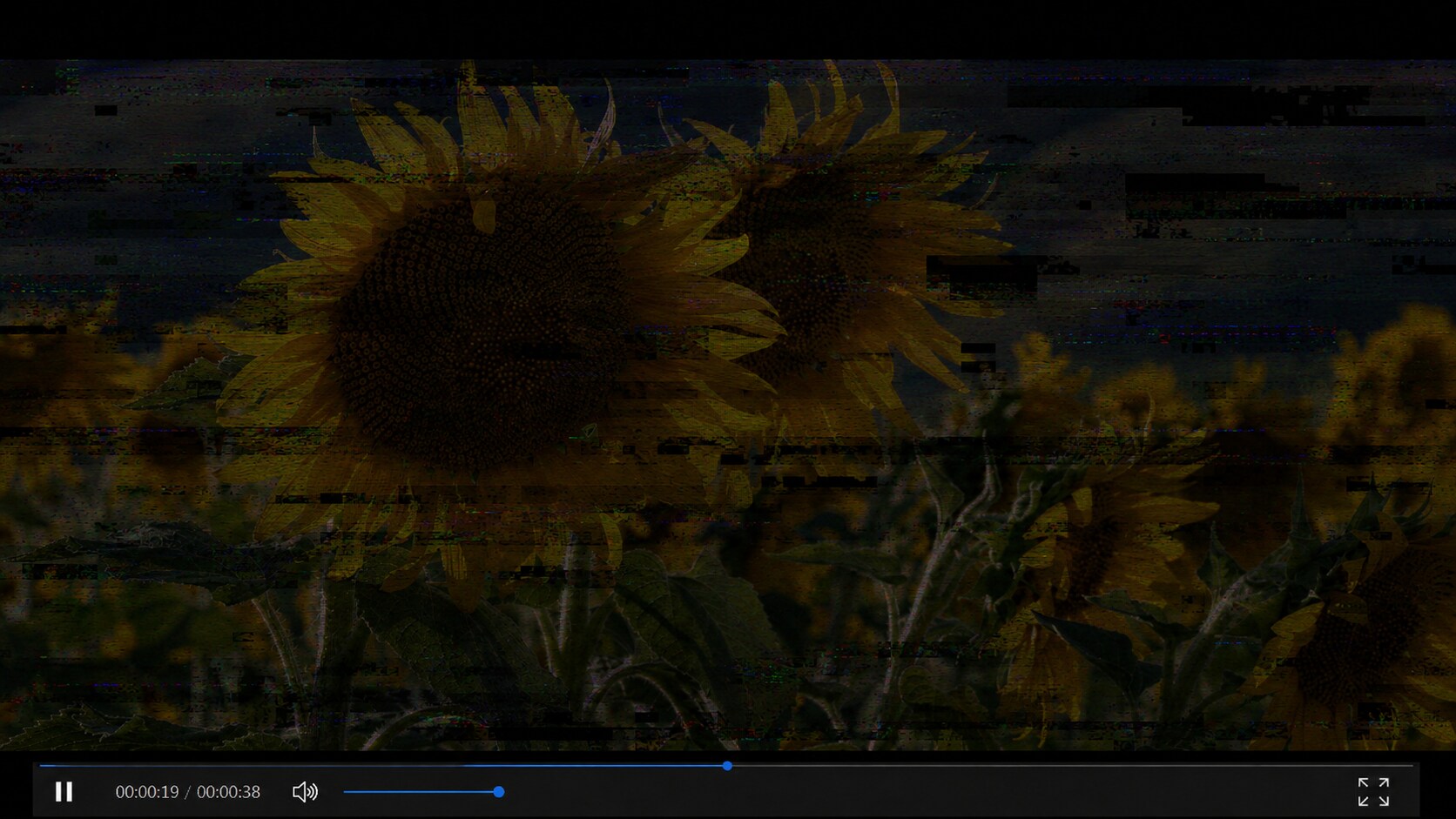 avi repair before