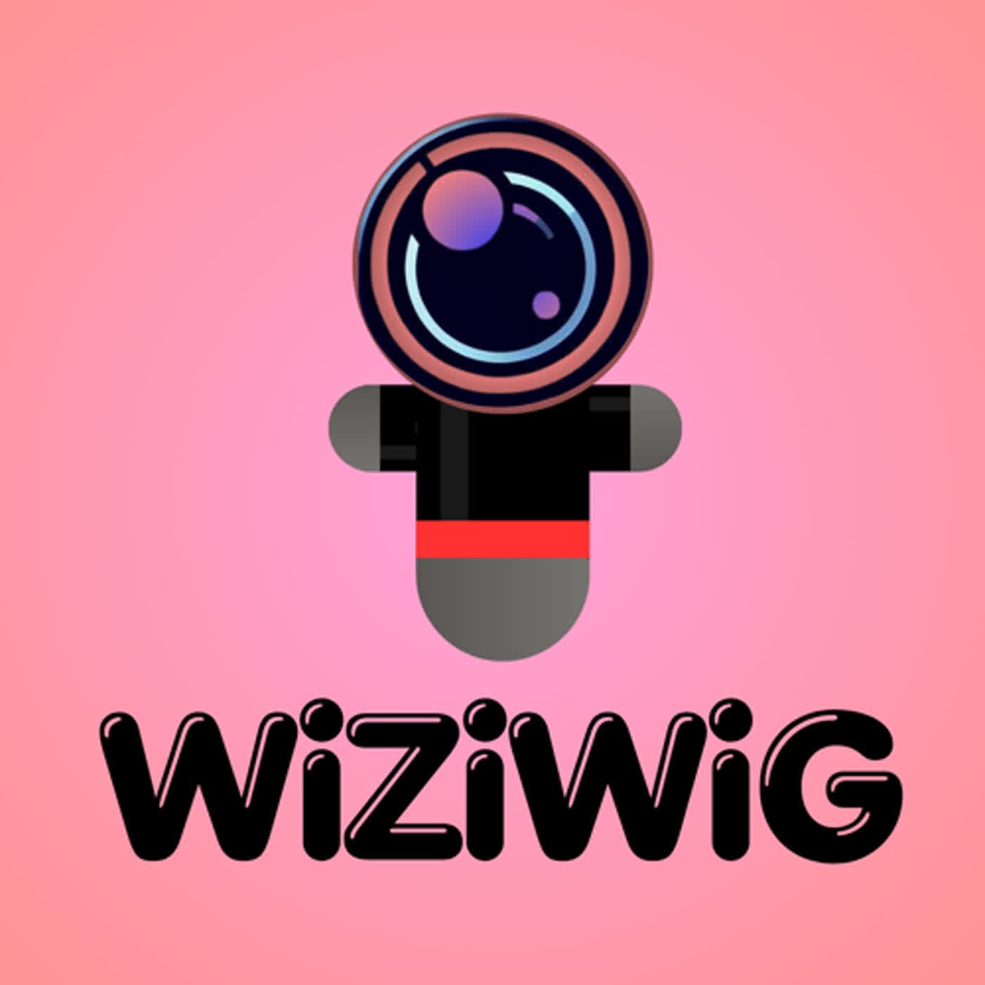 wiziwig logo