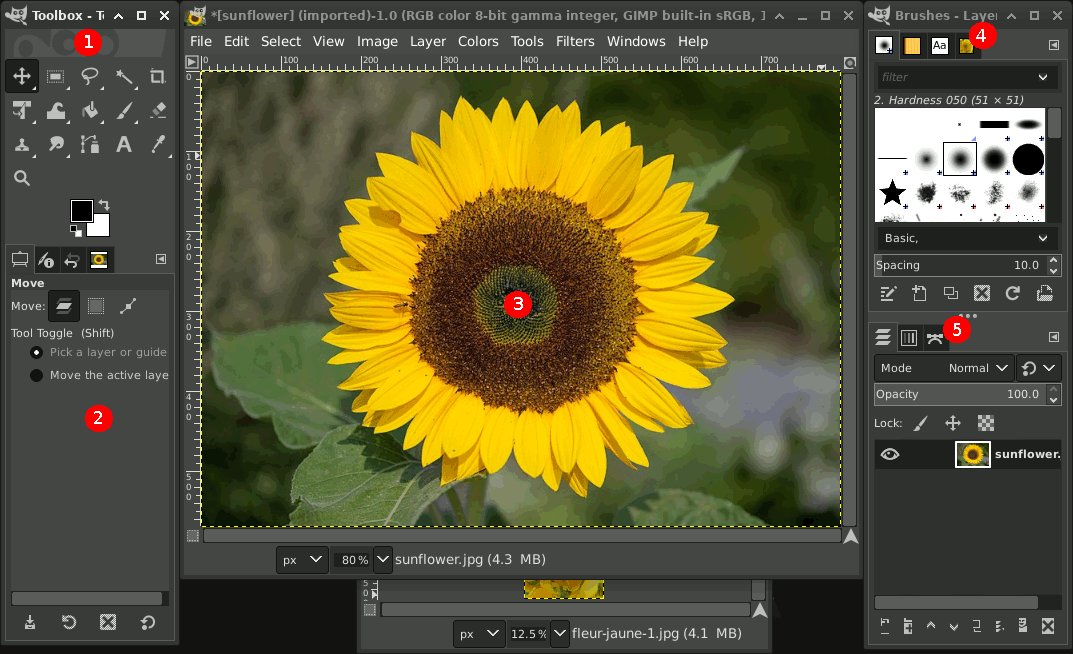 gimp free image editing software Windows 10