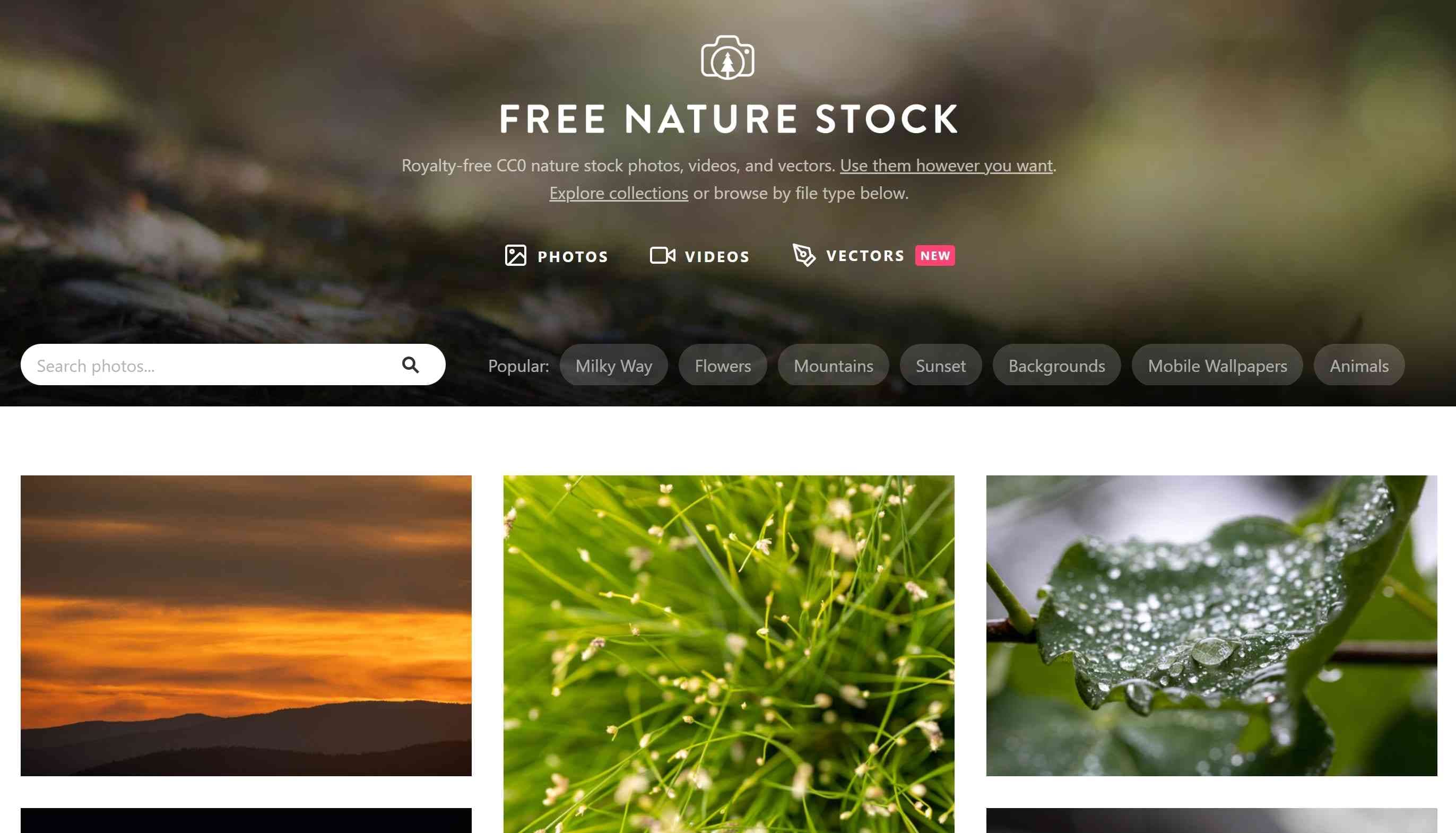 sito di scaricare video stock gratuiti sulla natura